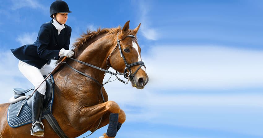 ANKARA BİNİCİLİK KURSU