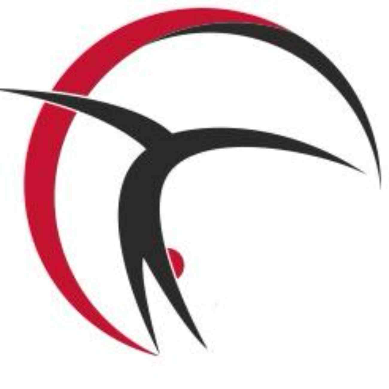 Vega Akademi Cimnastik Spor Kulübü