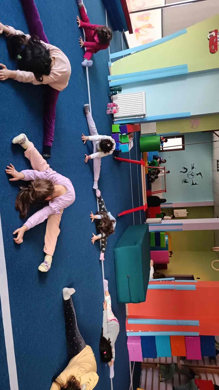 Vega Akademi Cimnastik Spor Kulübü - 5. Fotoğraf